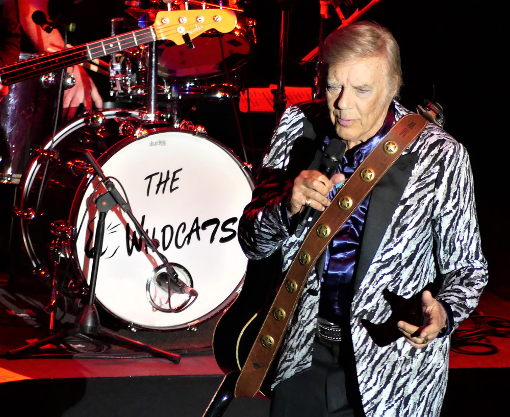 Martin Wilde- Rock and Roll Artist