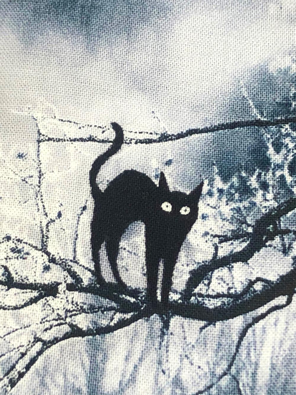 Pictures: TIFFANY FLEMING