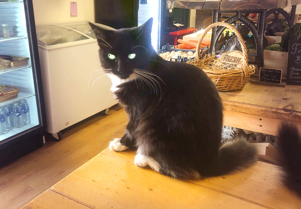 Pictures: TIFFANY FLEMING