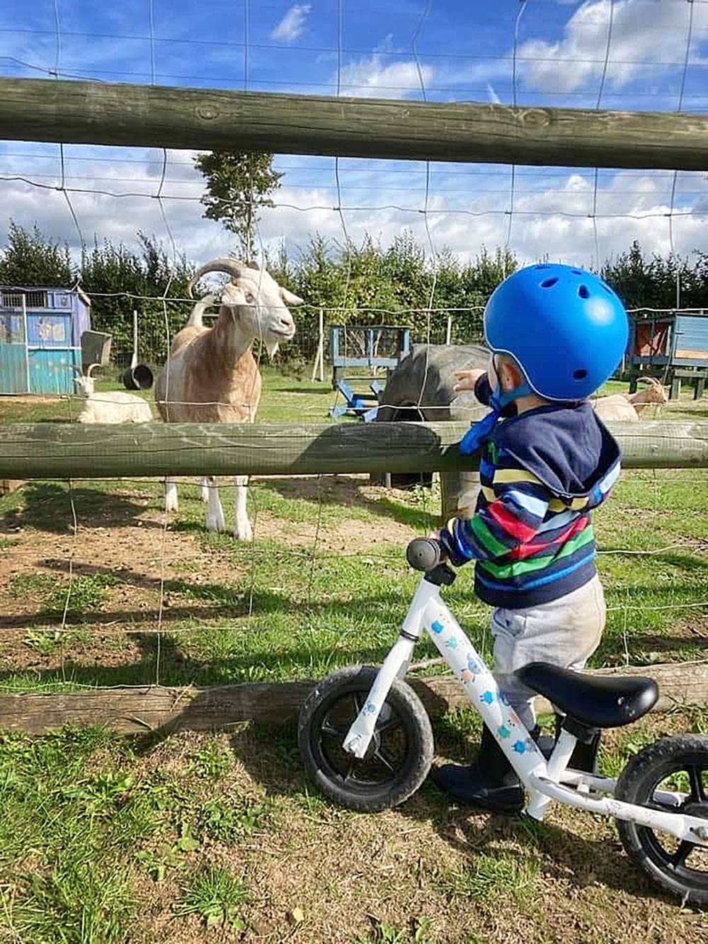 Pictures: TIFFANY FLEMING