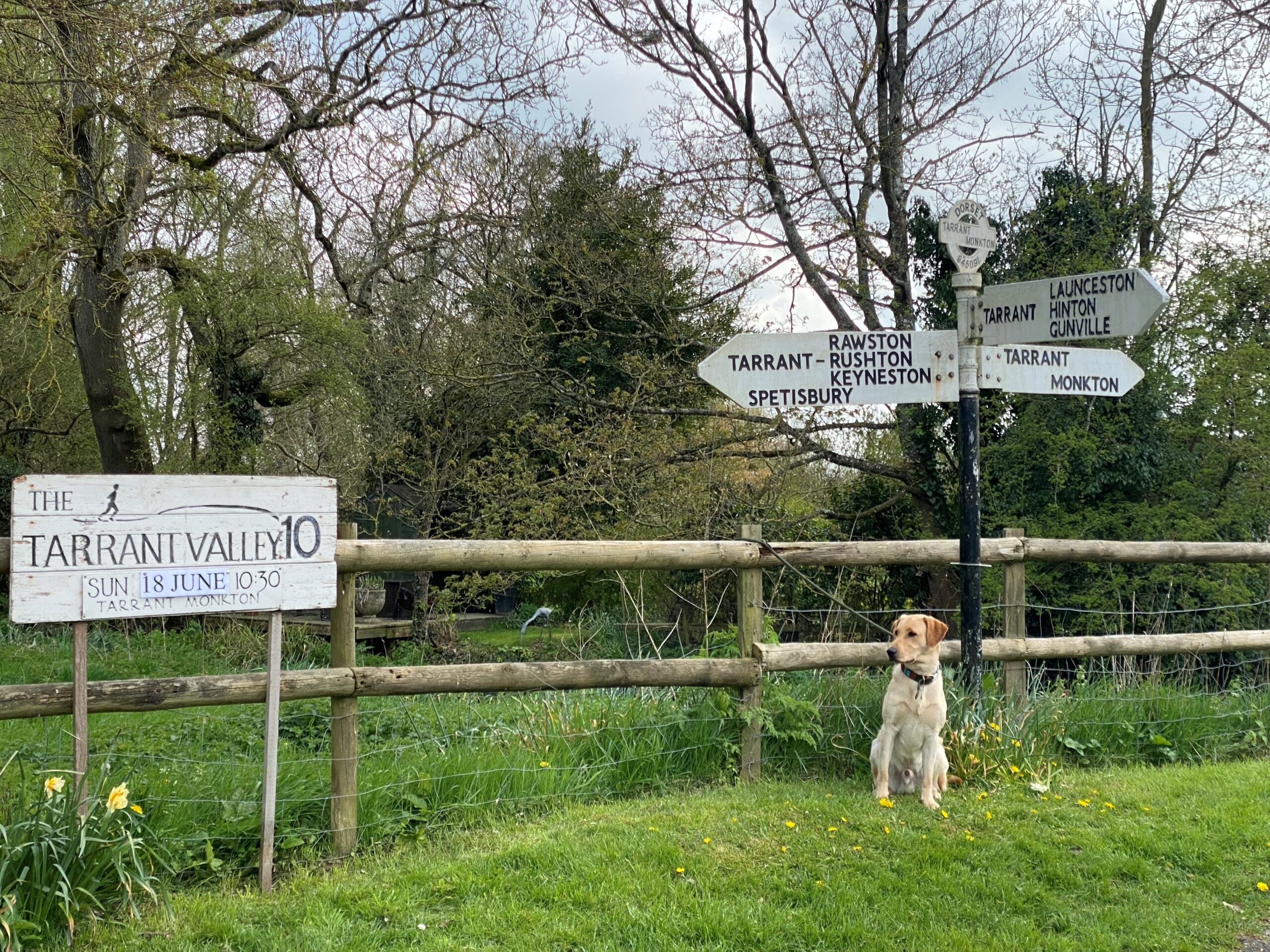 Tarrant Monkton is gearing up for the run...