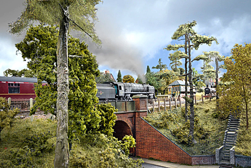 Beeching Pines Express
