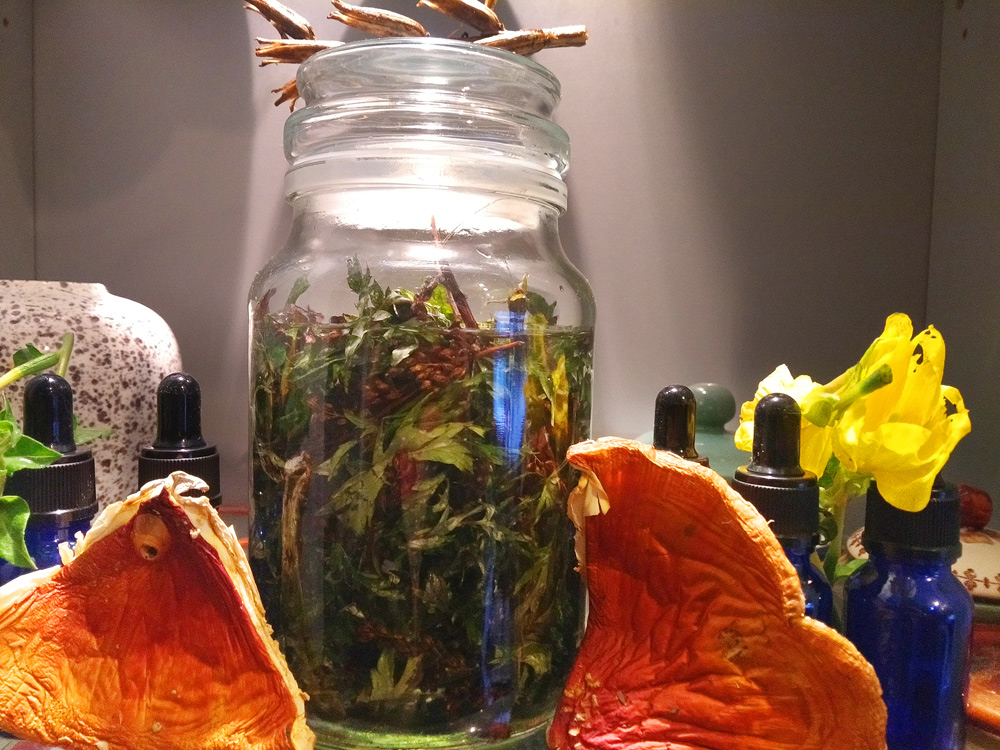 Jo Greens jarred herbs