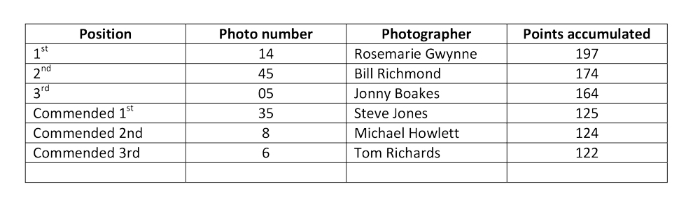 Results for paddle club