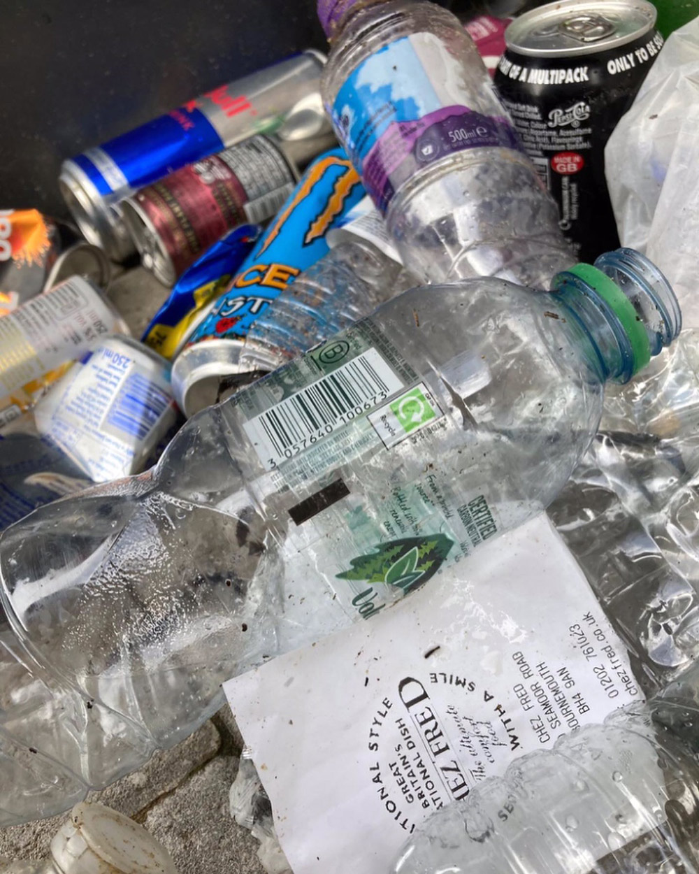 Detail of litter. Scarlet Sutcliffe