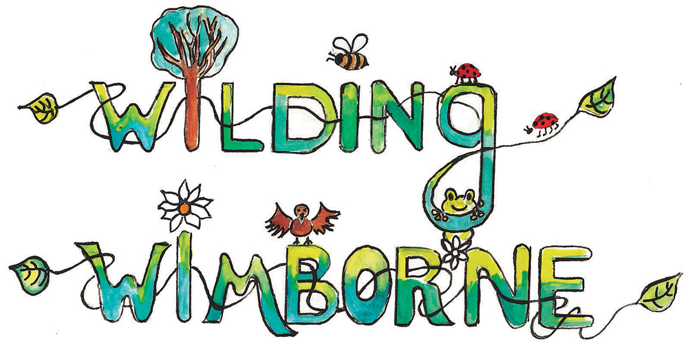 Wilding Wimborne Logo