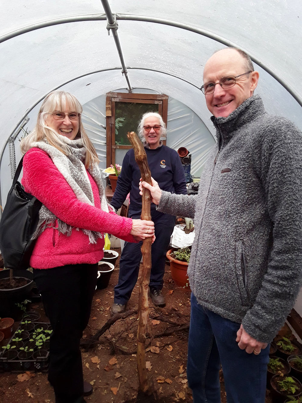 Amberwood House gardener Lyn Read donates a wisteria vine to Liz and Jon Doyle