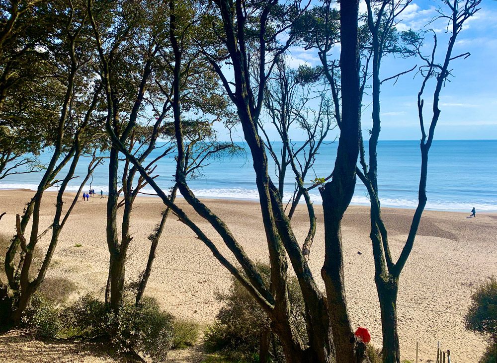 Blue Flag, Highcliffe Beach
