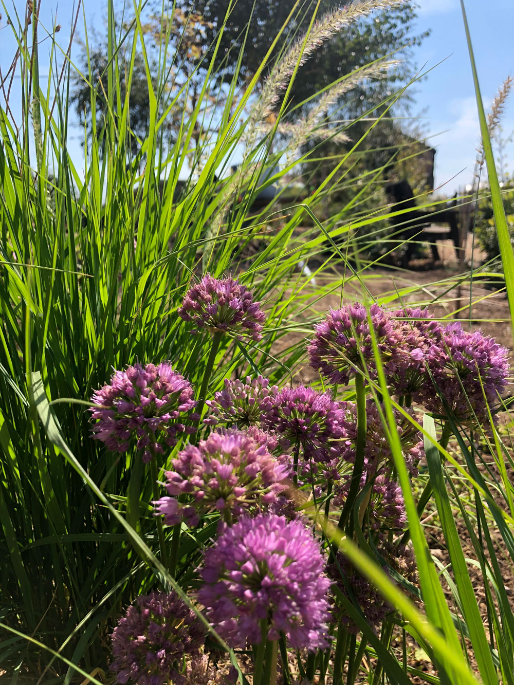 A day at the farm with Tiffany Fleming