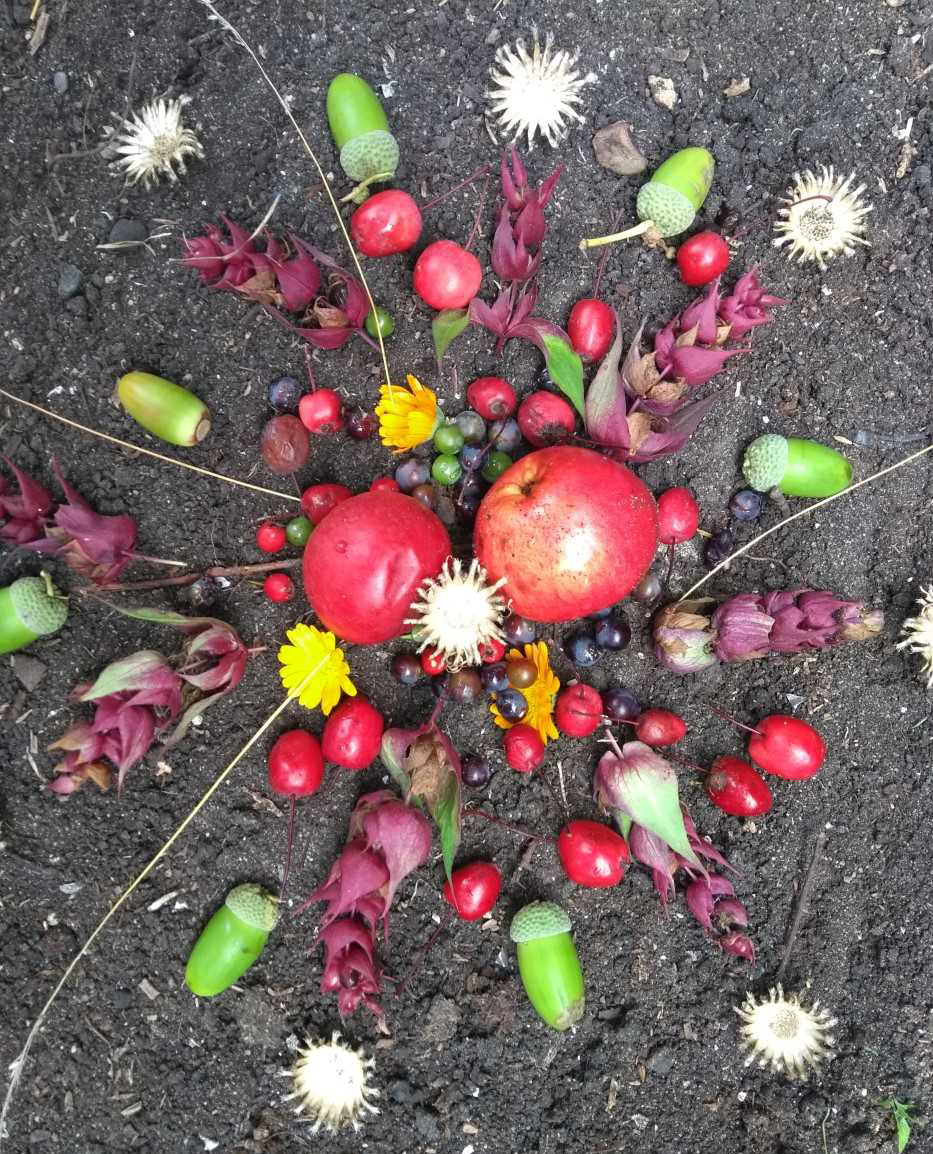 Words and pics by Jo Green, a former allotmenteer, forager, amateur herbalist, pickler and jam maker who squeezed her allotment greenery into her tiny garden