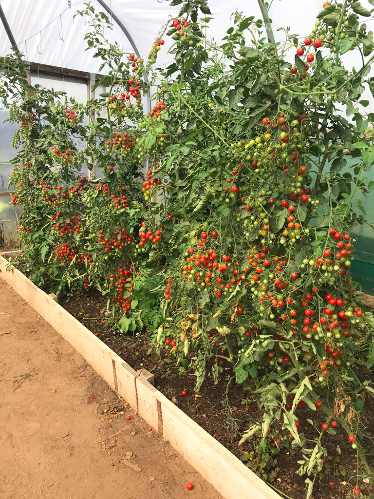 A day at the farm with Tiffany Fleming