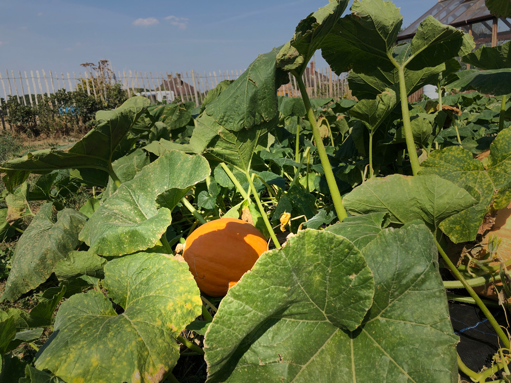 A day at the farm with Tiffany Fleming