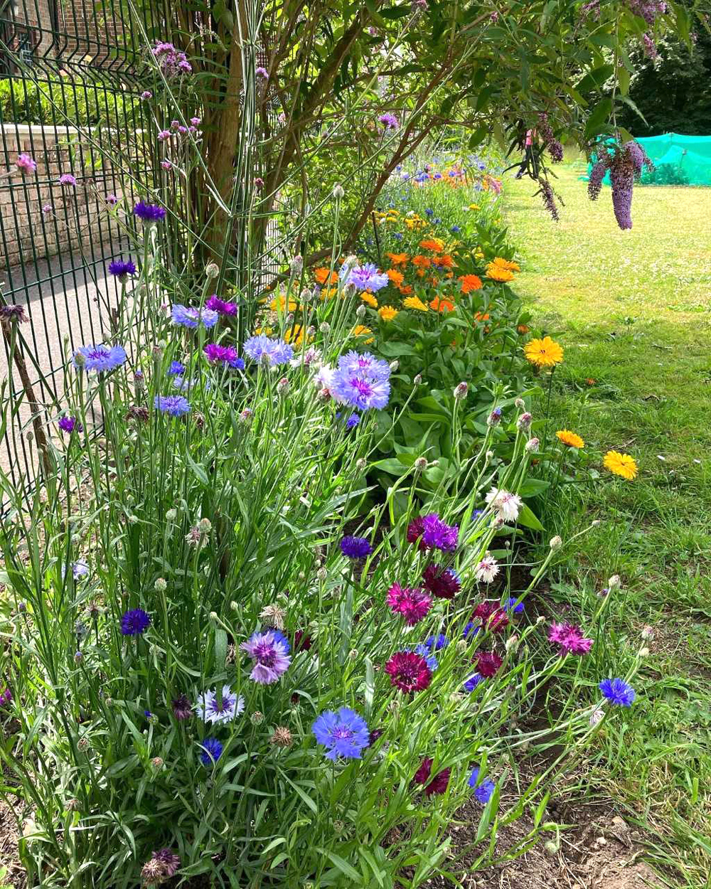 XXL: Colourful produce and flowerbeds and, above, safety first always...